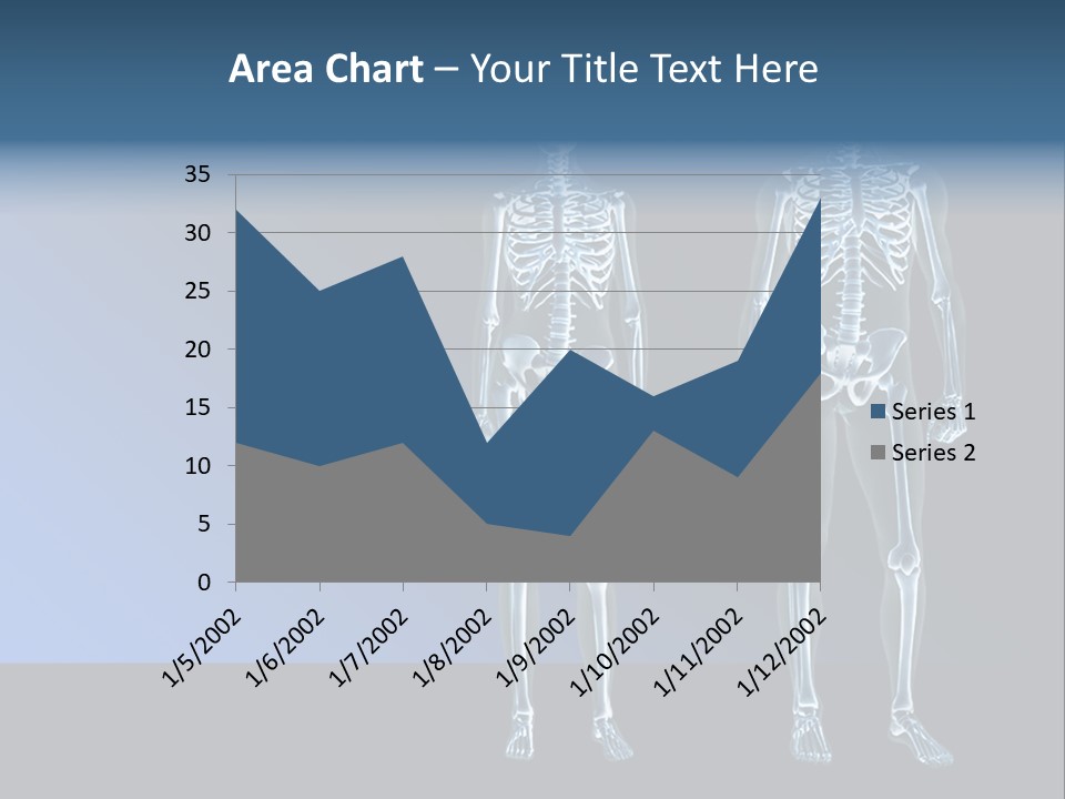 Muscle Anatomy Female PowerPoint Template
