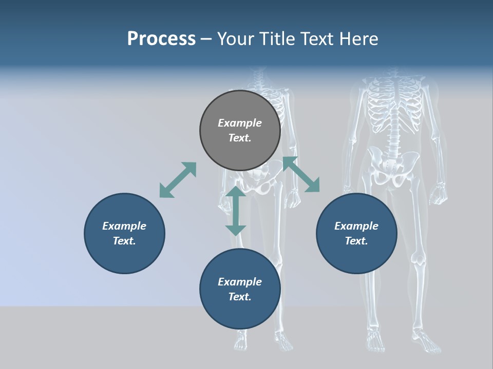 Muscle Anatomy Female PowerPoint Template