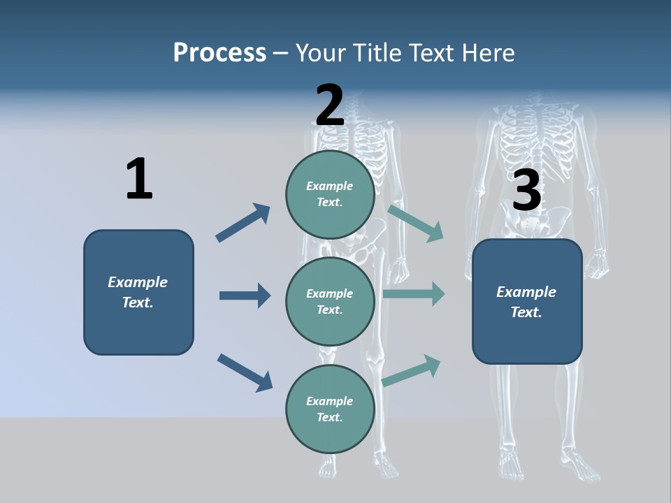 Muscle Anatomy Female PowerPoint Template