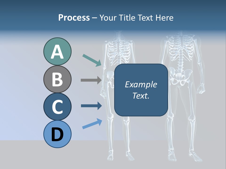 Muscle Anatomy Female PowerPoint Template