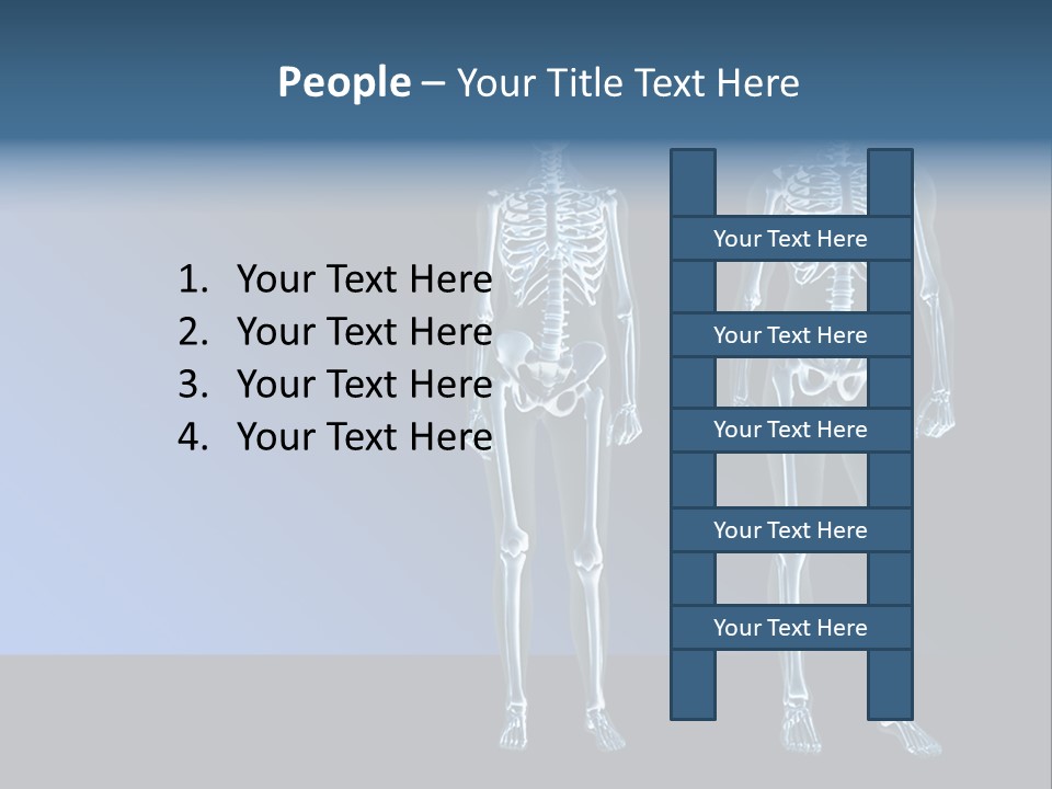 Muscle Anatomy Female PowerPoint Template