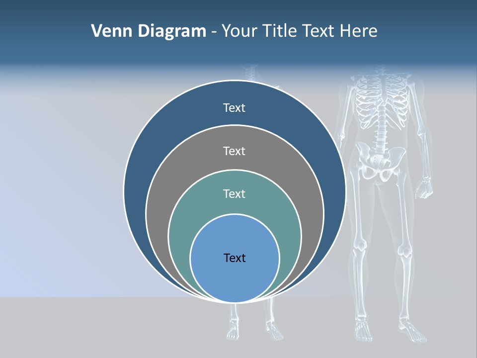 Muscle Anatomy Female PowerPoint Template
