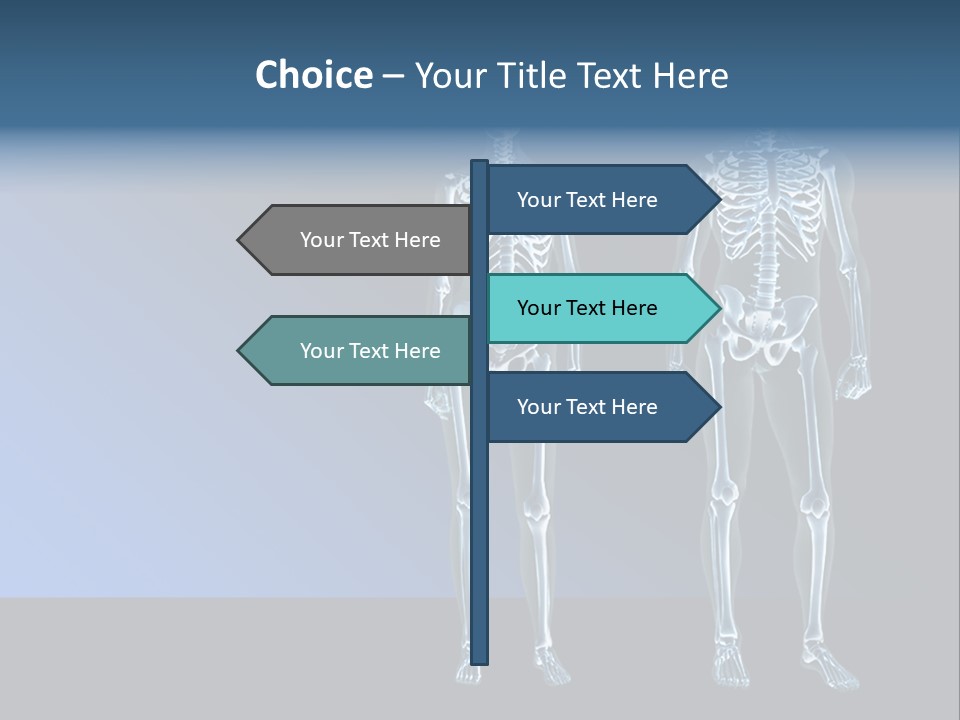 Muscle Anatomy Female PowerPoint Template