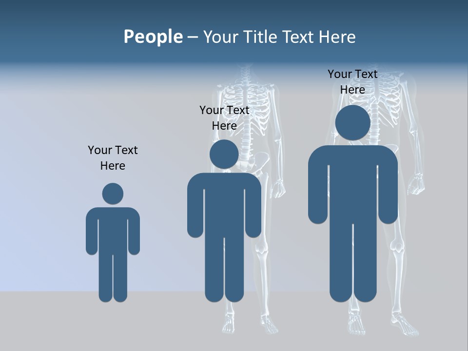 Muscle Anatomy Female PowerPoint Template