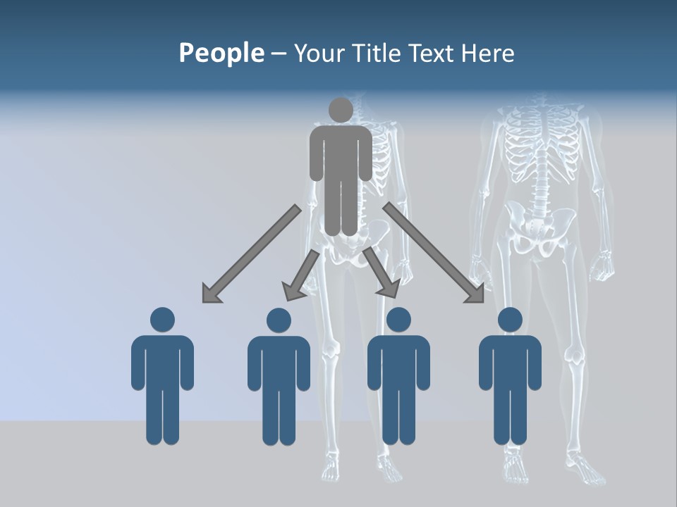 Muscle Anatomy Female PowerPoint Template