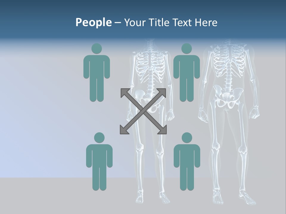 Muscle Anatomy Female PowerPoint Template