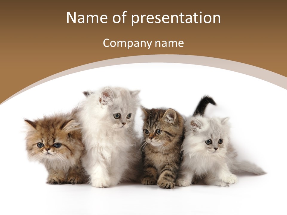 Furry Spotty Cat PowerPoint Template