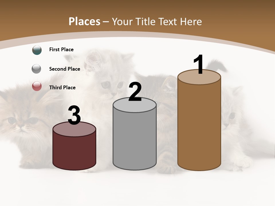 Furry Spotty Cat PowerPoint Template