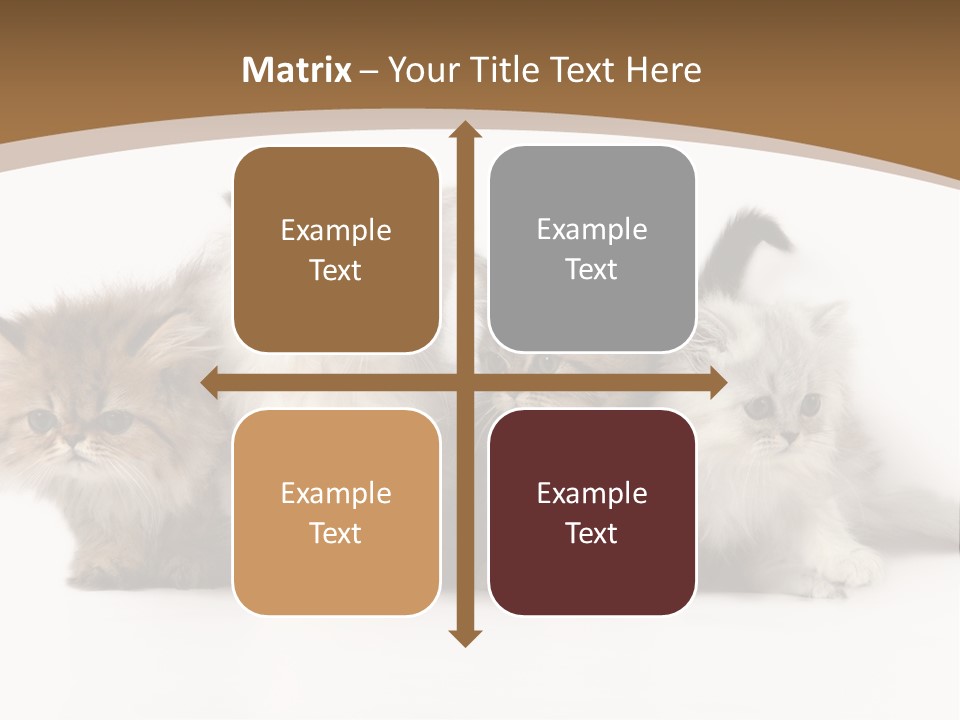 Furry Spotty Cat PowerPoint Template