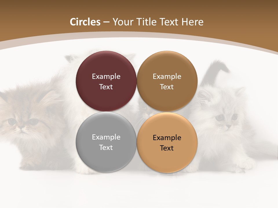 Furry Spotty Cat PowerPoint Template