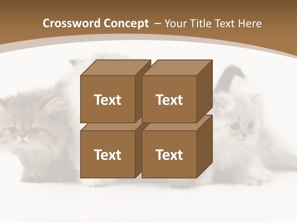 Furry Spotty Cat PowerPoint Template