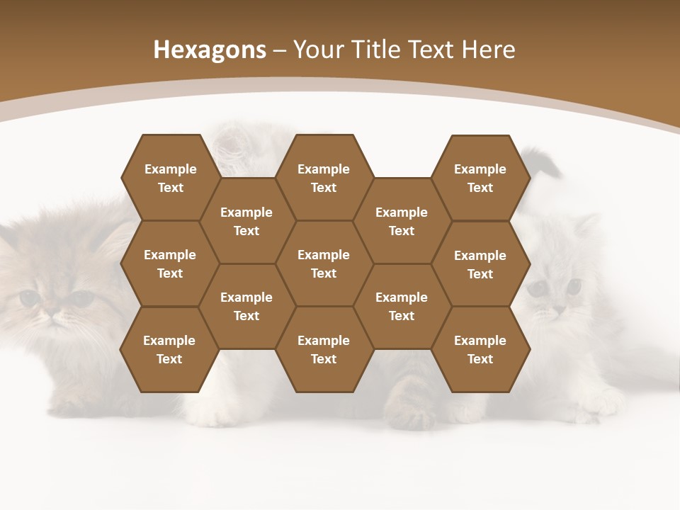 Furry Spotty Cat PowerPoint Template