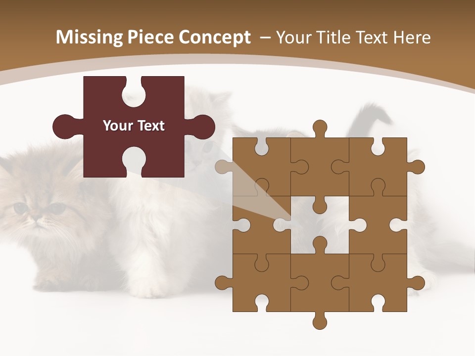 Furry Spotty Cat PowerPoint Template