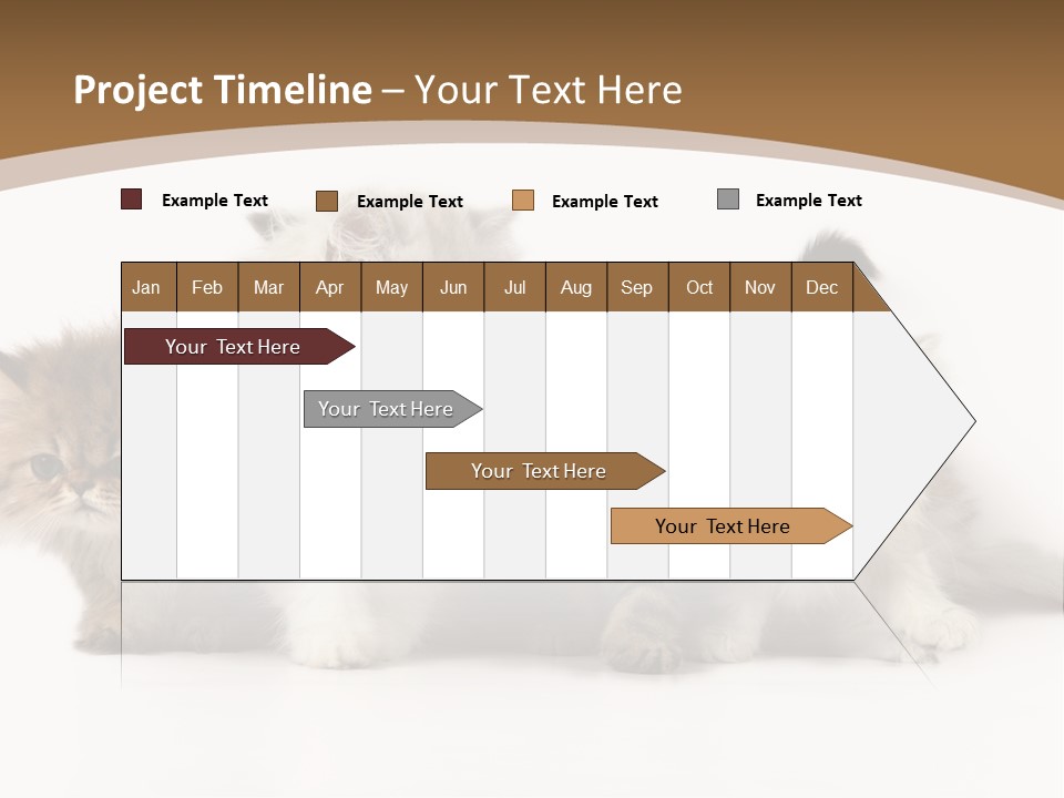 Furry Spotty Cat PowerPoint Template