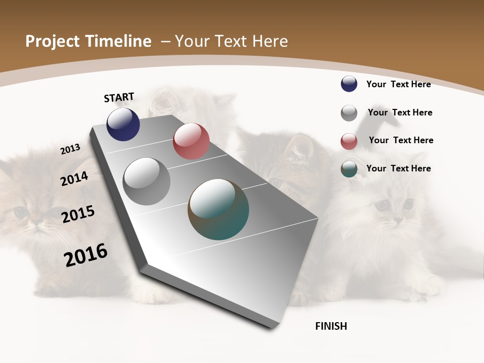 Furry Spotty Cat PowerPoint Template