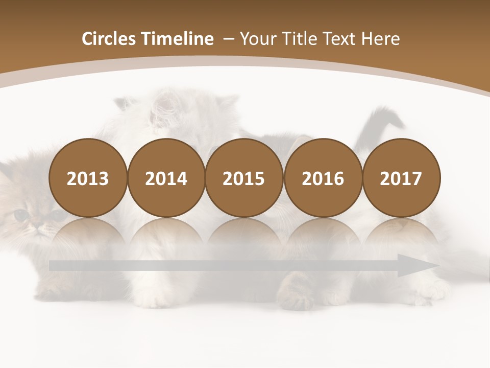 Furry Spotty Cat PowerPoint Template