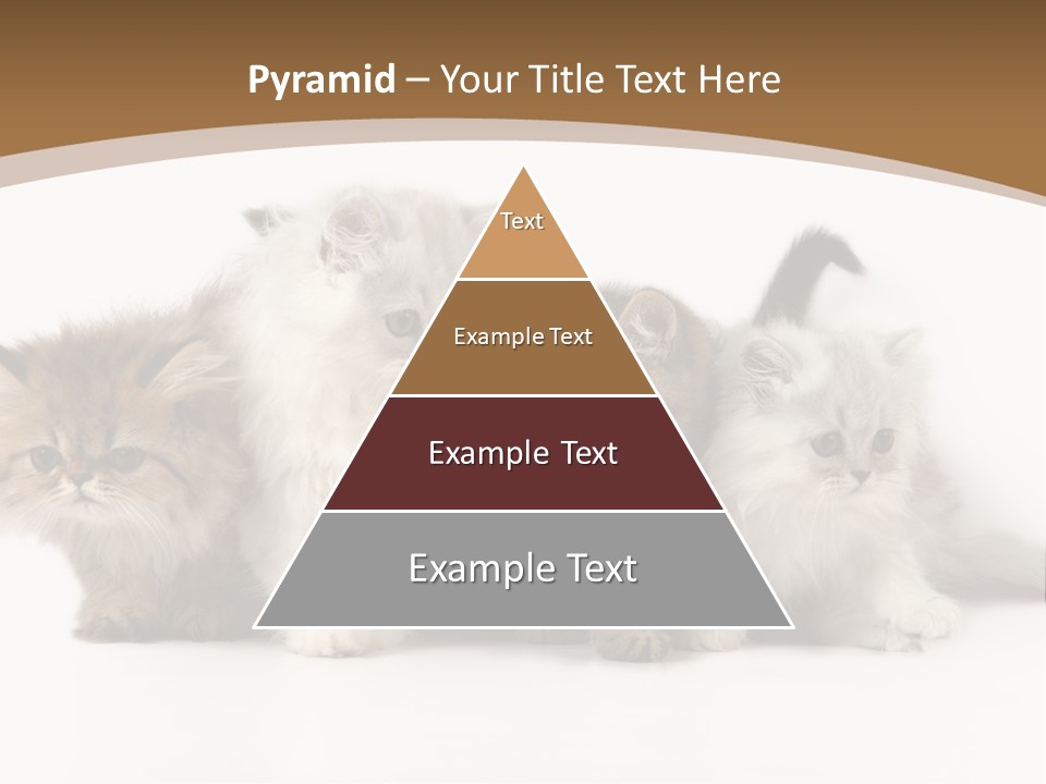 Furry Spotty Cat PowerPoint Template