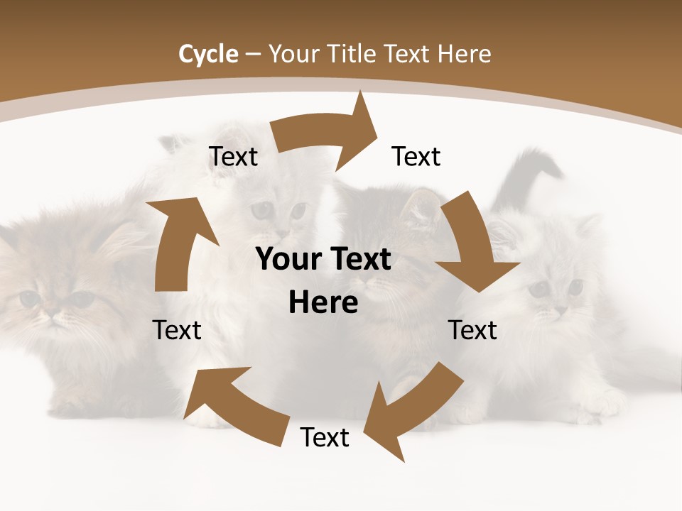 Furry Spotty Cat PowerPoint Template