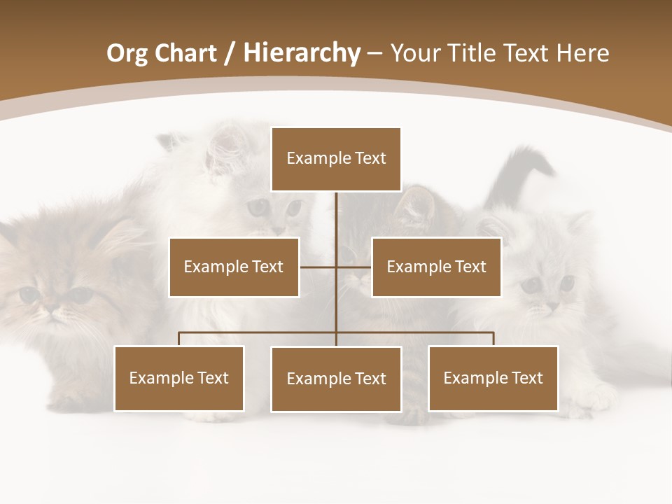 Furry Spotty Cat PowerPoint Template