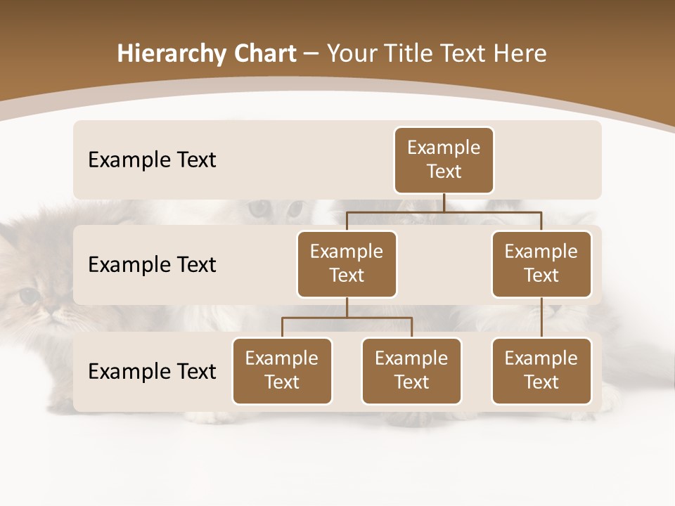 Furry Spotty Cat PowerPoint Template