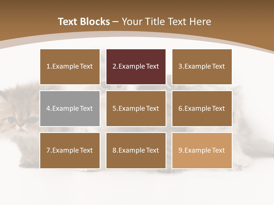 Furry Spotty Cat PowerPoint Template