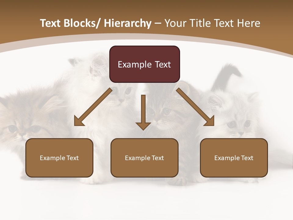 Furry Spotty Cat PowerPoint Template