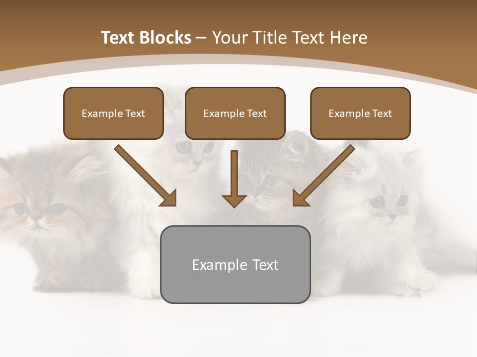 Furry Spotty Cat PowerPoint Template