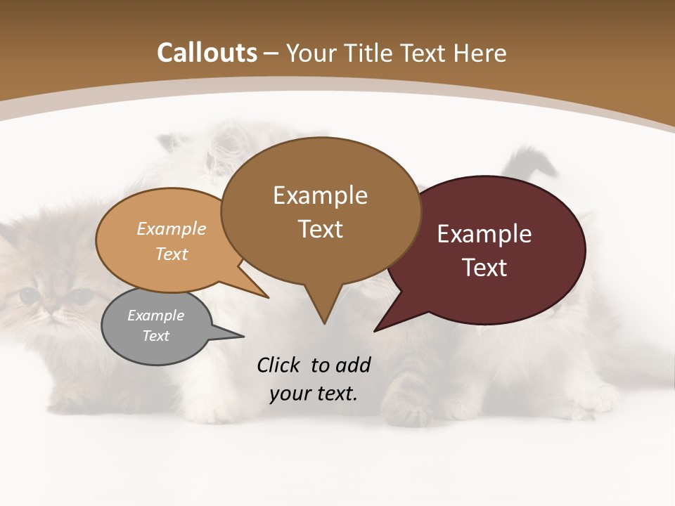 Furry Spotty Cat PowerPoint Template