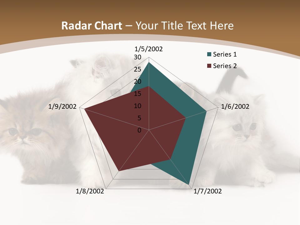 Furry Spotty Cat PowerPoint Template