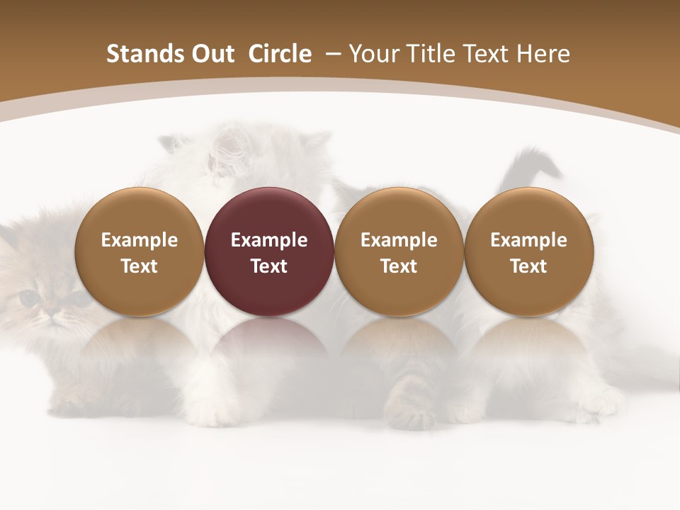 Furry Spotty Cat PowerPoint Template