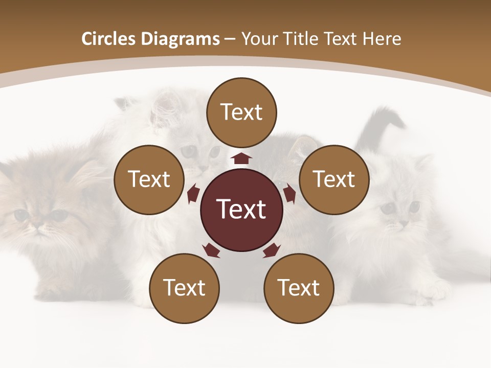 Furry Spotty Cat PowerPoint Template