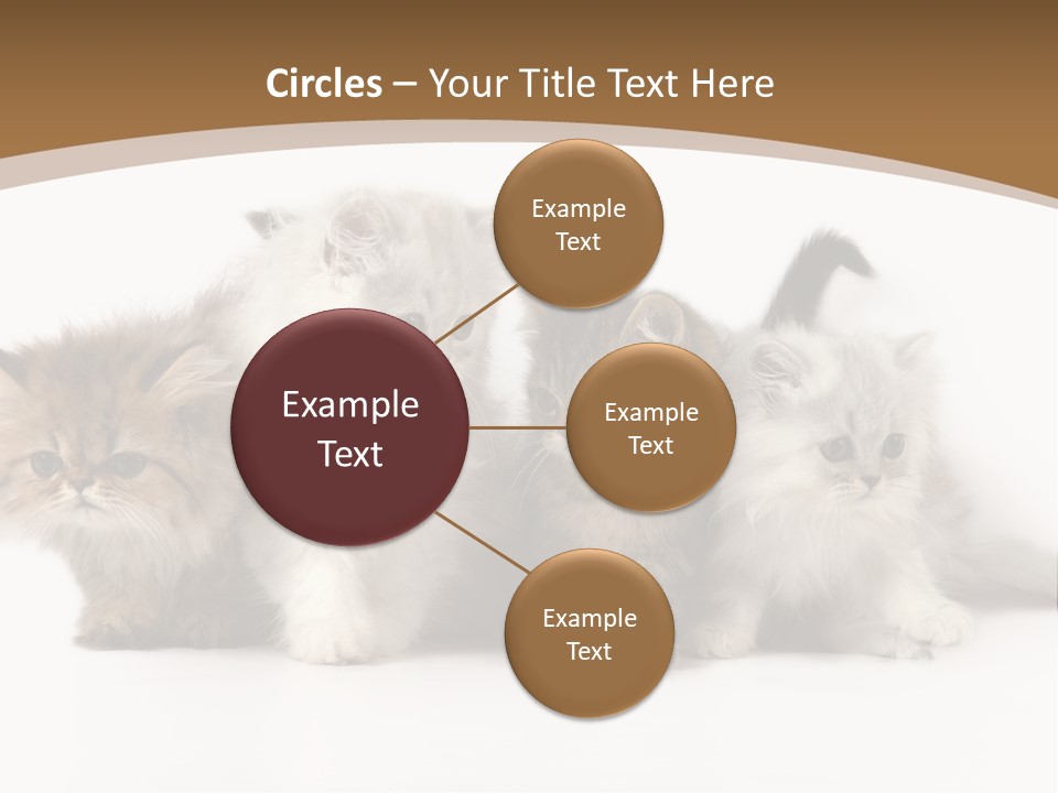 Furry Spotty Cat PowerPoint Template