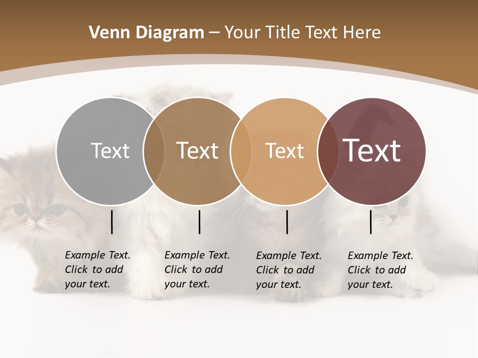Furry Spotty Cat PowerPoint Template