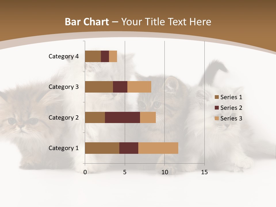 Furry Spotty Cat PowerPoint Template