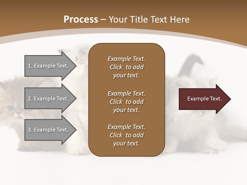 Furry Spotty Cat PowerPoint Template