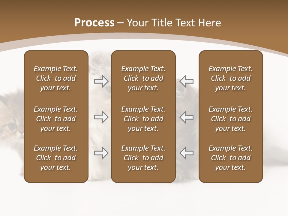 Furry Spotty Cat PowerPoint Template