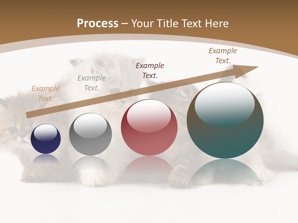 Furry Spotty Cat PowerPoint Template