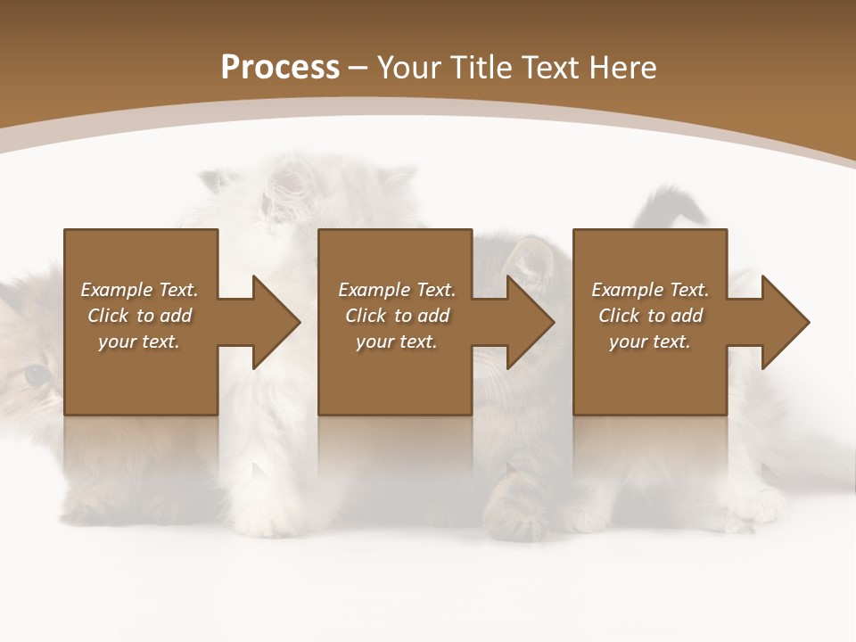 Furry Spotty Cat PowerPoint Template