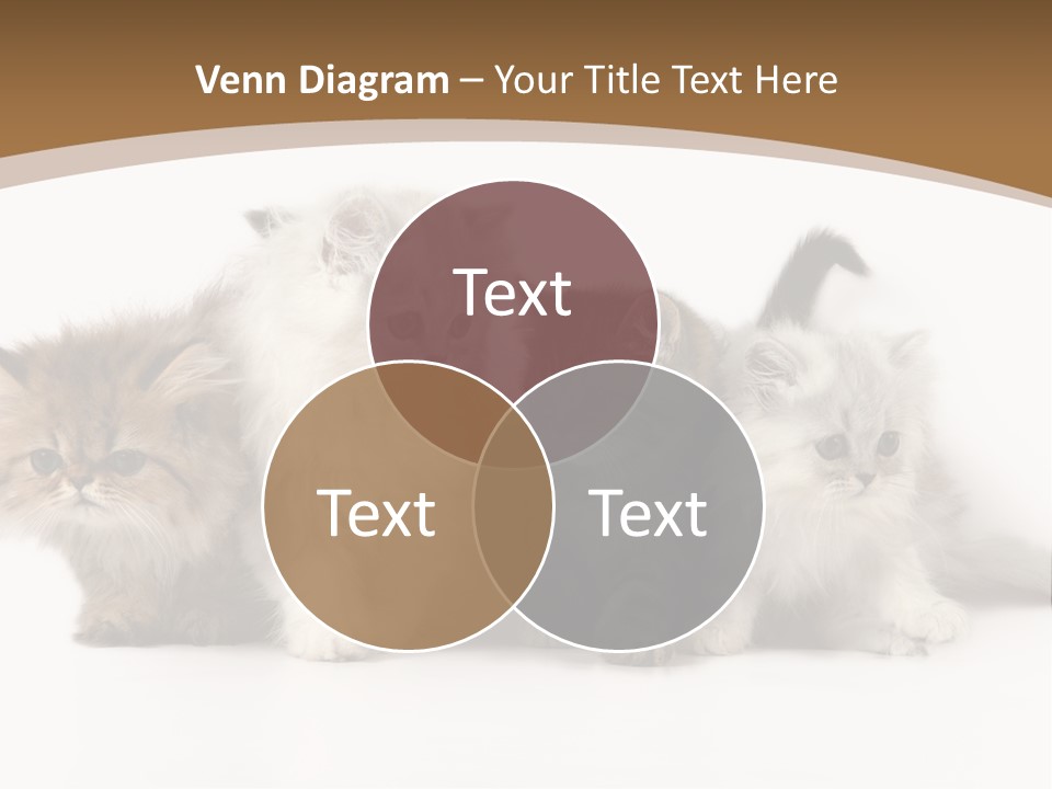 Furry Spotty Cat PowerPoint Template