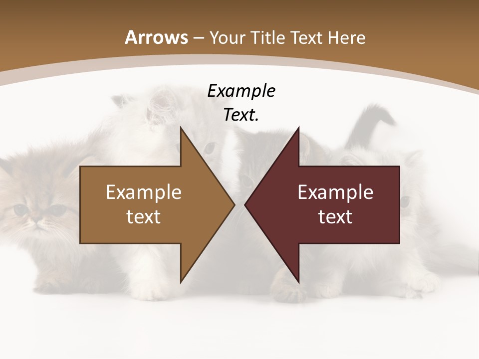 Furry Spotty Cat PowerPoint Template