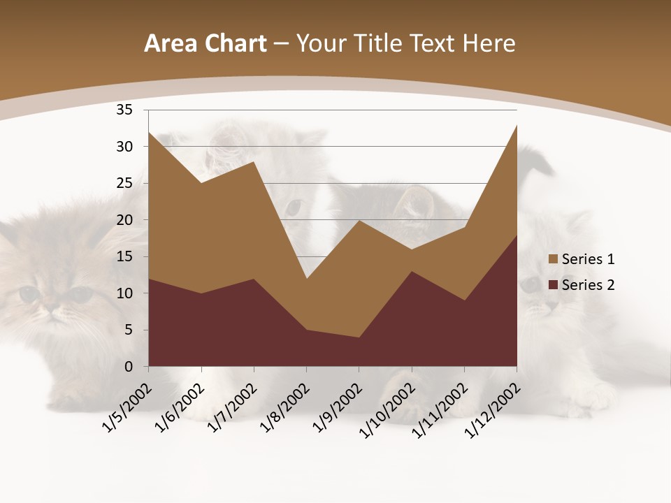 Furry Spotty Cat PowerPoint Template