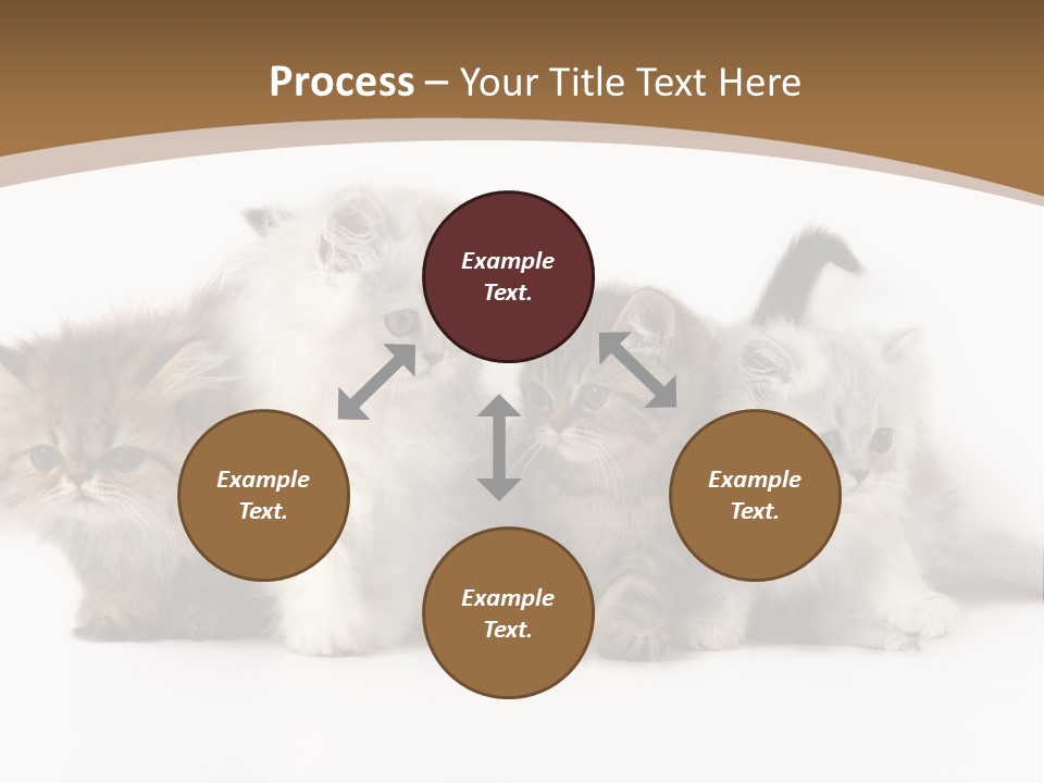 Furry Spotty Cat PowerPoint Template