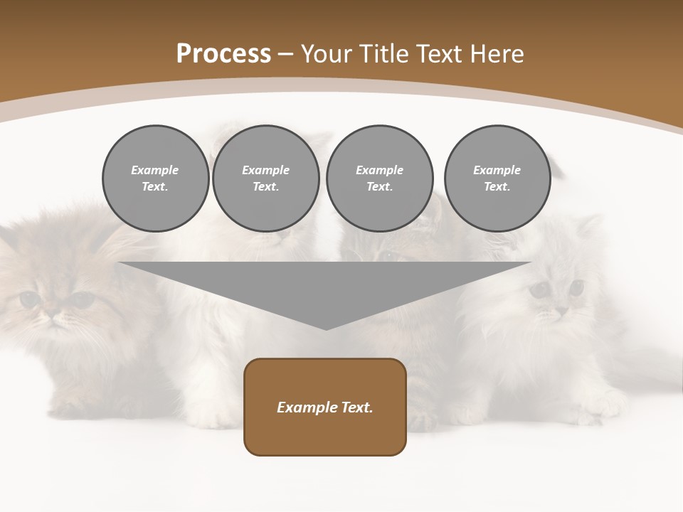 Furry Spotty Cat PowerPoint Template