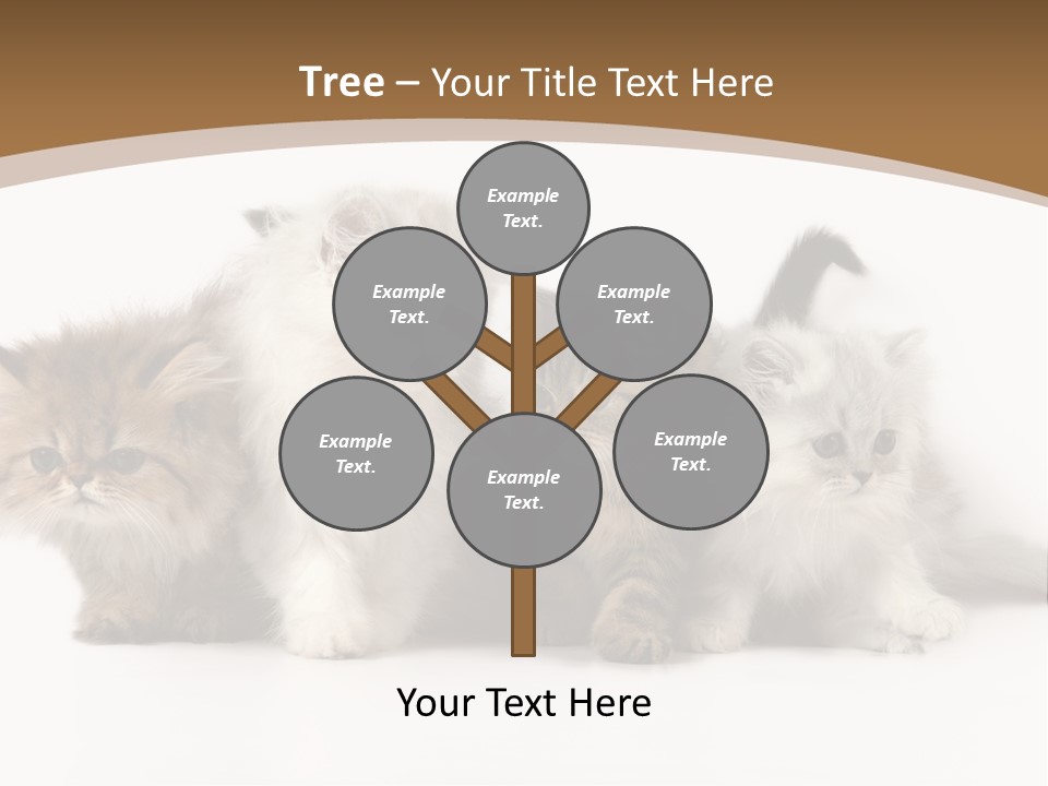Furry Spotty Cat PowerPoint Template