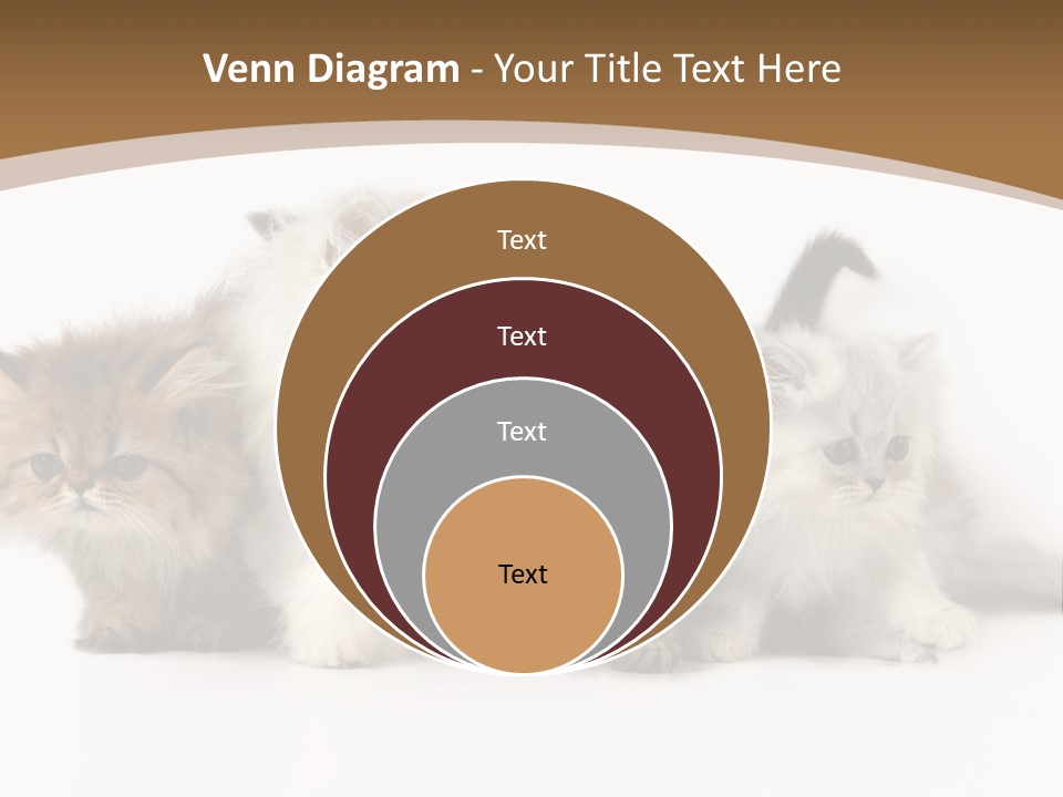 Furry Spotty Cat PowerPoint Template