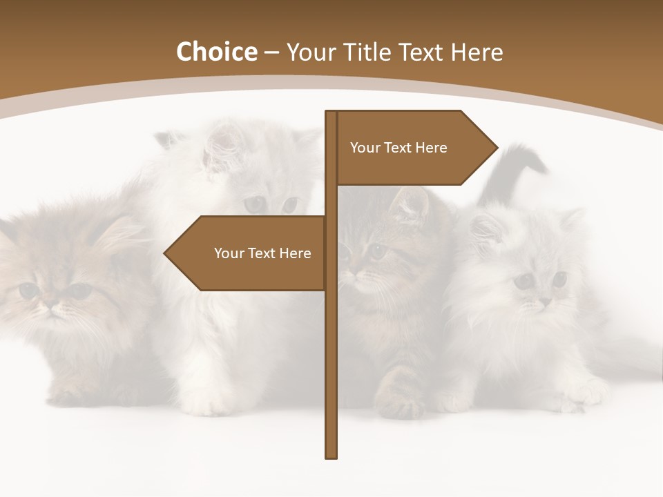 Furry Spotty Cat PowerPoint Template