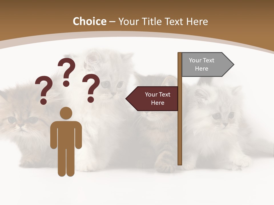 Furry Spotty Cat PowerPoint Template