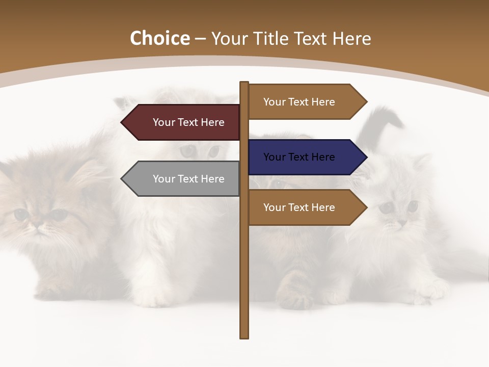 Furry Spotty Cat PowerPoint Template