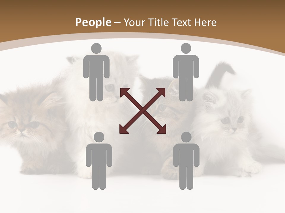 Furry Spotty Cat PowerPoint Template