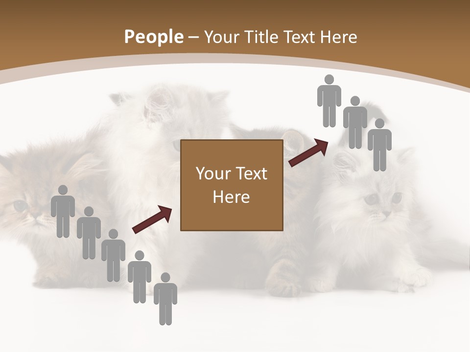 Furry Spotty Cat PowerPoint Template